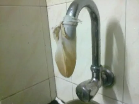 I'd probably get a diarrhea if I drank from this tap