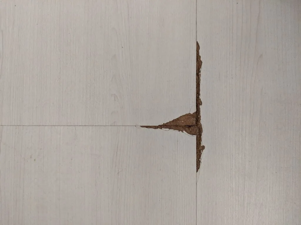 The hole in my room's laminate floor that peeled
