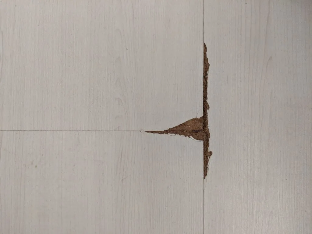 The hole in my room’s laminate floor that peeled