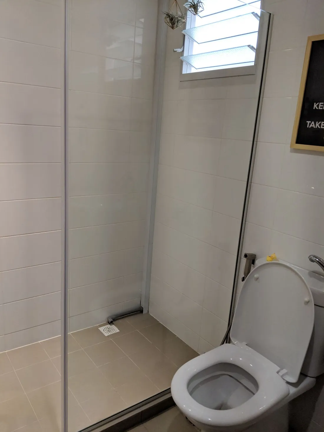 How to Clean a Glass Toilet Shower Screen