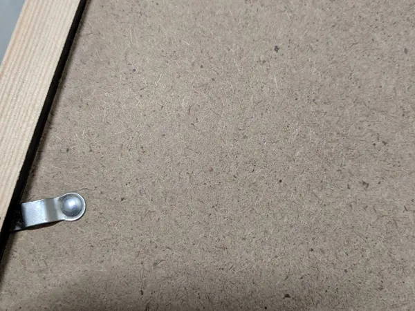 Taobao Photo Frames Gave Us a Booklice Bug Infestation
