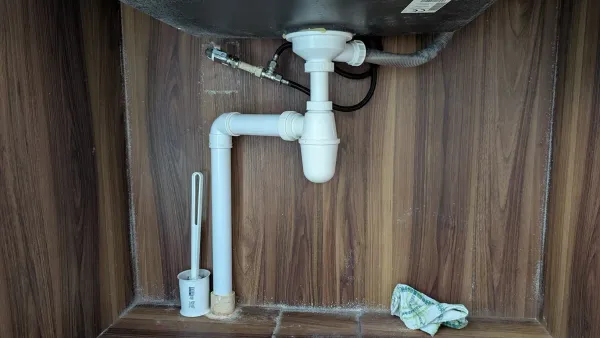 Mold Invasion Under Our Sink