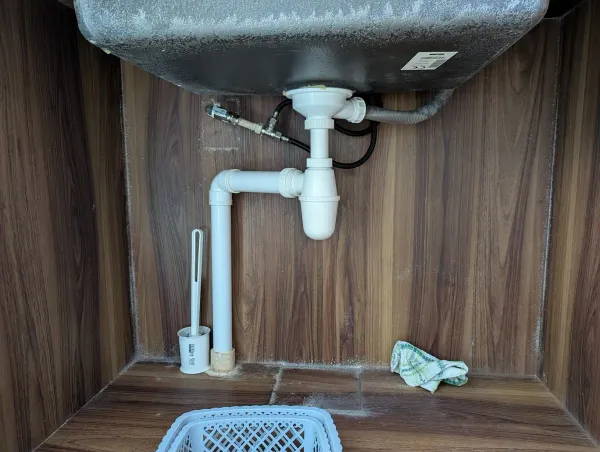 Mold Invasion Under Our Sink