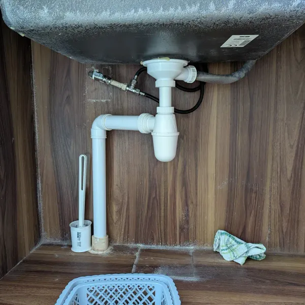 Mold Invasion Under Our Sink