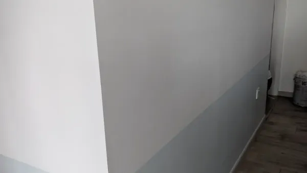 Getting Nippon Paint to Repaint Our Moldy Home (& What I'd Do Differently)