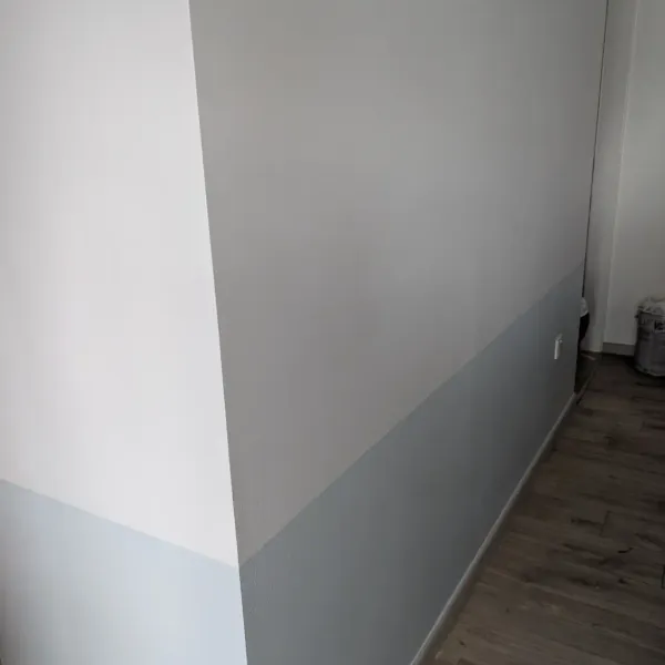 Getting Nippon Paint to Repaint Our Moldy Home (& What I'd Do Differently)