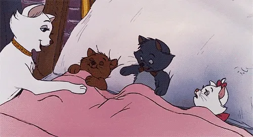 Budget Guide on Buying a Bed