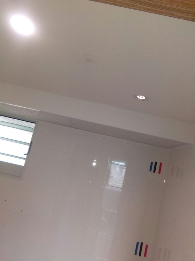 The common toilet lighting, which is fairly standard, with 2 lighting points on the ceiling.