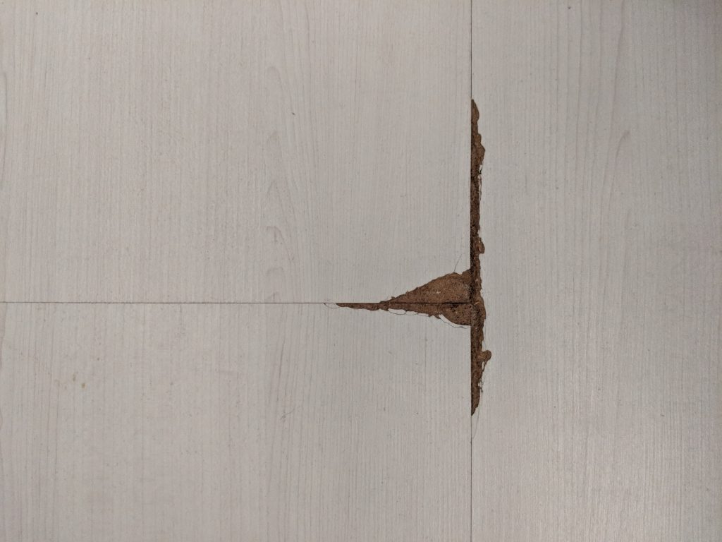 The hole in my room's laminate floor that peeled.