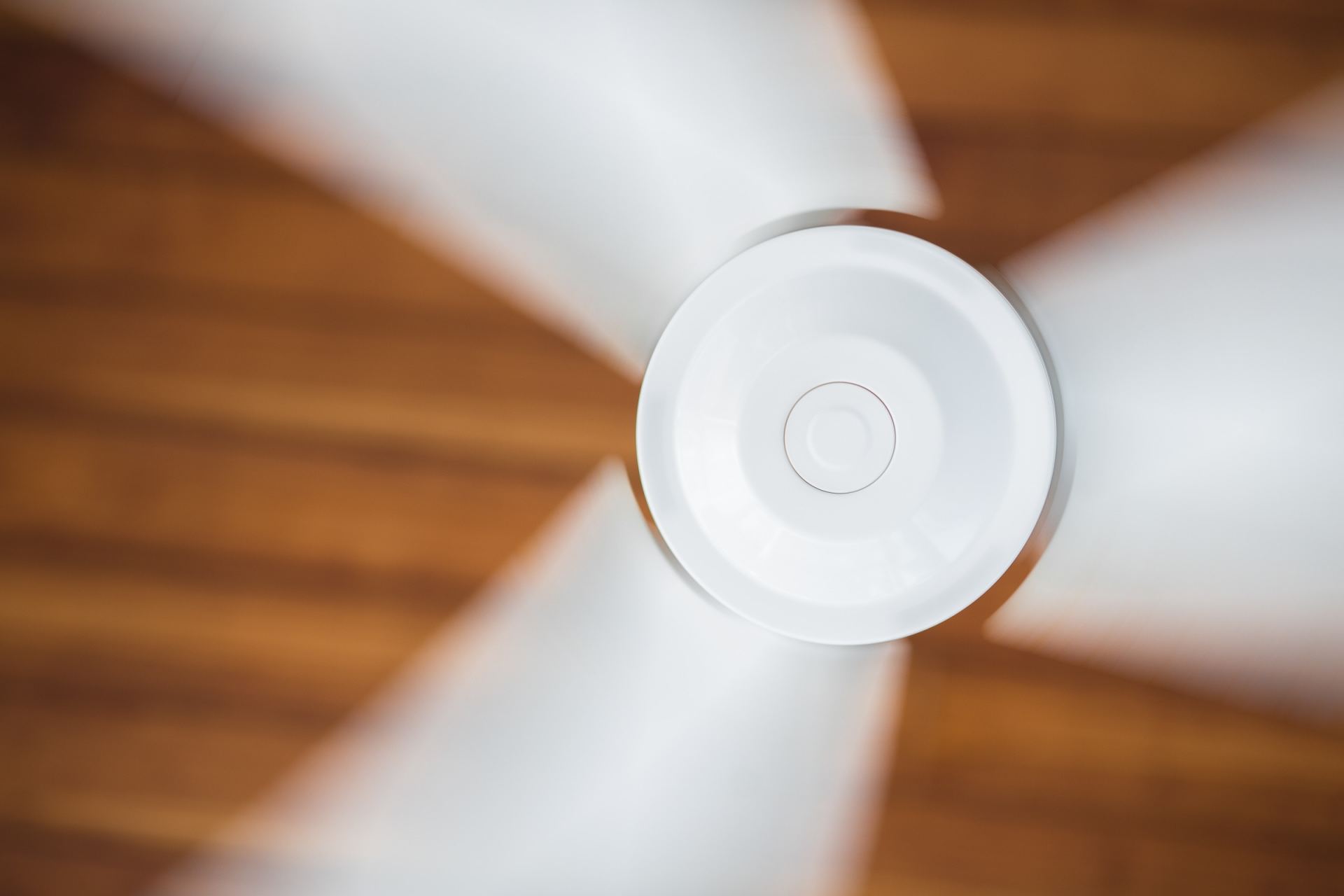 Taobao Ceiling Fan Review: It’s Noisy and Sucks, But Looks Pretty
