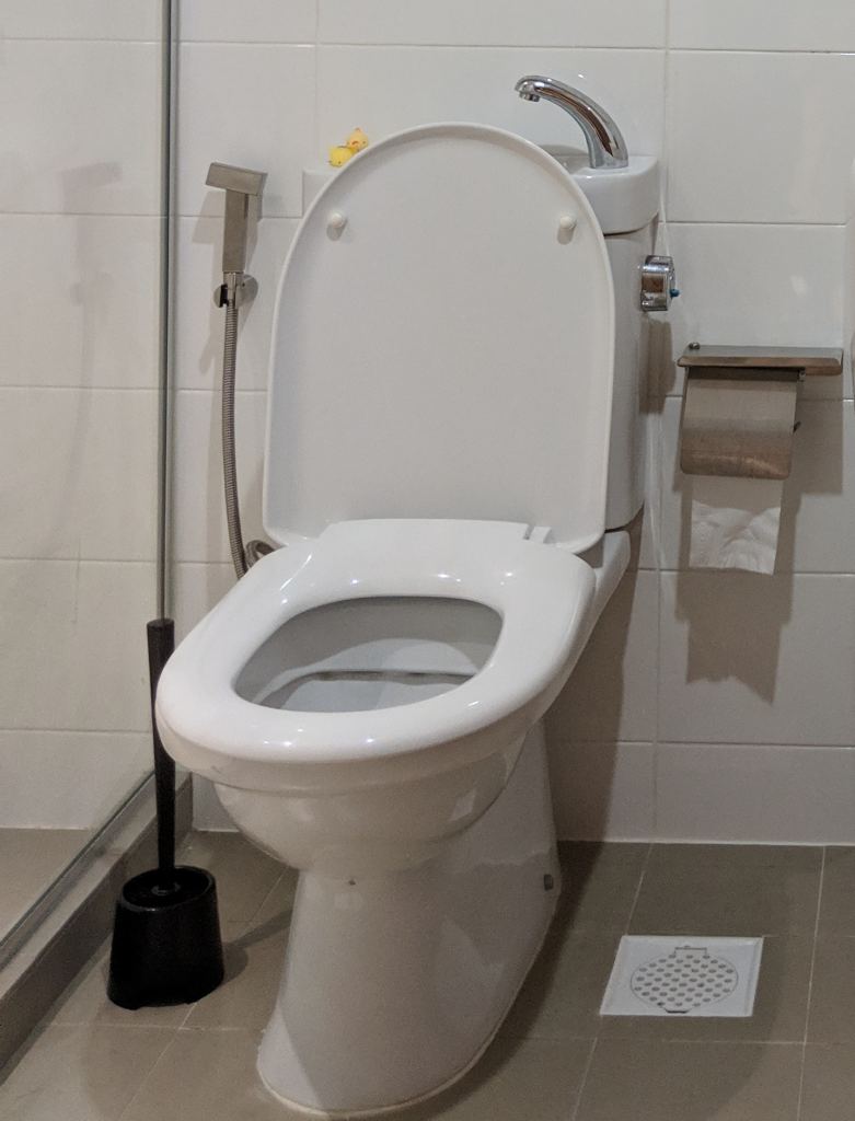 Our bidet does look quite different from most bidets.